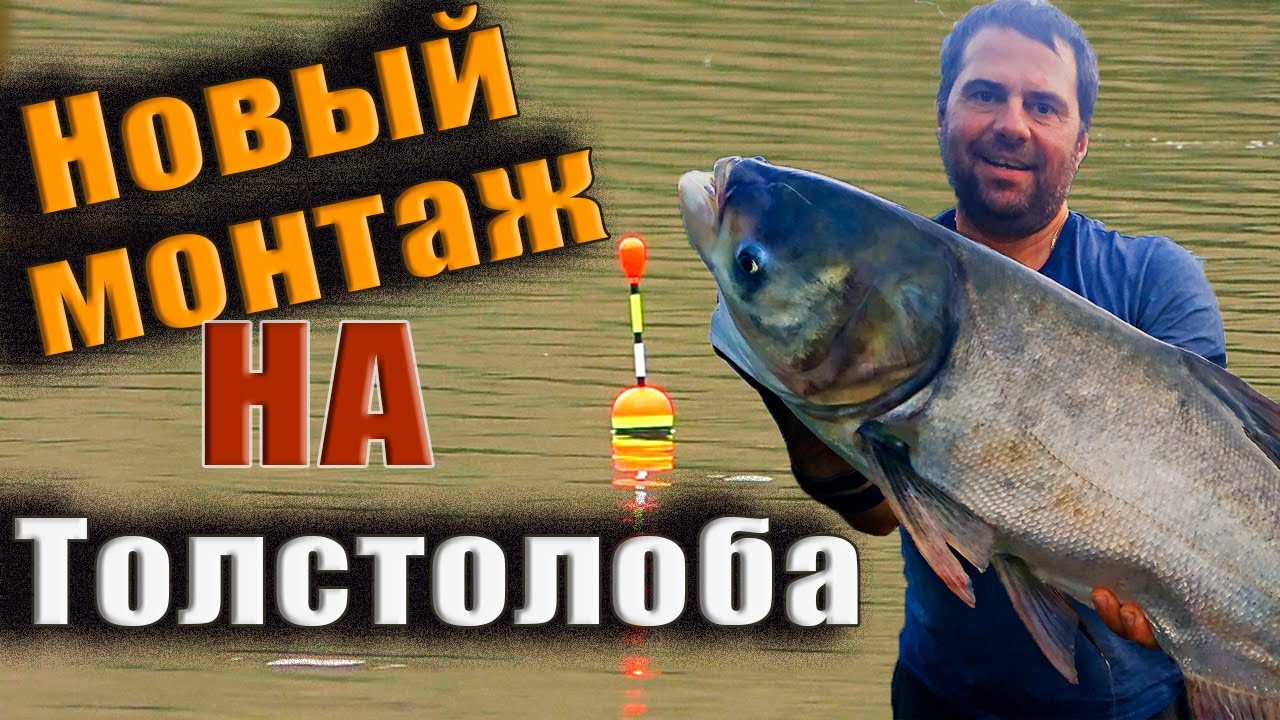 Секреты монтажа на ТОЛСТОЛОБА🐟🐟🐟.    Вываживание крупной рыбы 🎣 ловля трофея на аматорскую снасть.