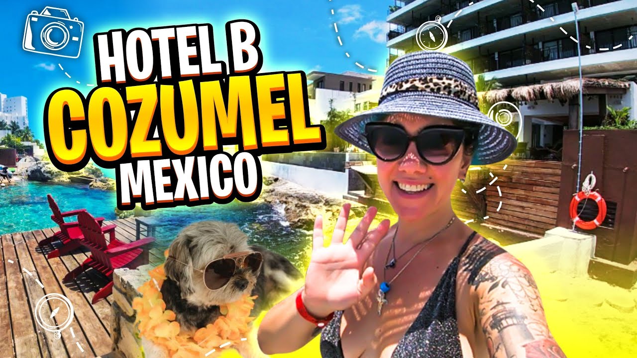 Отель B Unique Cozumel Mexico, где разрешено проживание с домашними животными: всё, что вам нужно...