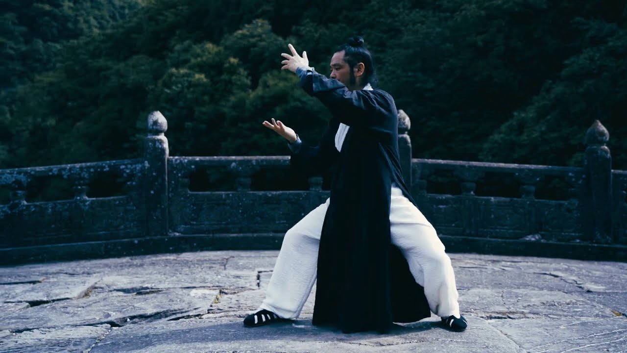 Amazing Wudang Tai He Quan - Supreme Harmony Form by Master Chen Shiyu
