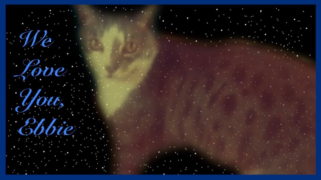 “Goodbye May Seem Forever” ~ A Tribute Song Cover for our Cat