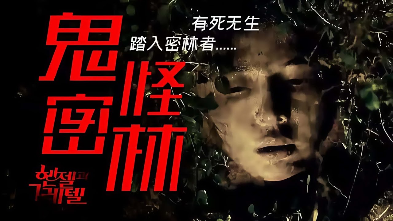 時間停滯的吃人密林 誤入者皆是肥料 豆瓣7.1分的奇幻恐怖片《鬼怪密林》劇情精講/深度解析