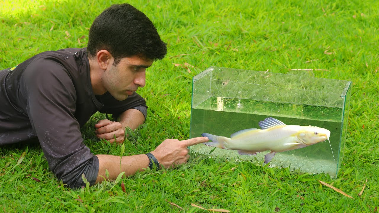 NEM ACREDITO QUE ACHEI ESSE PEIXE!!!