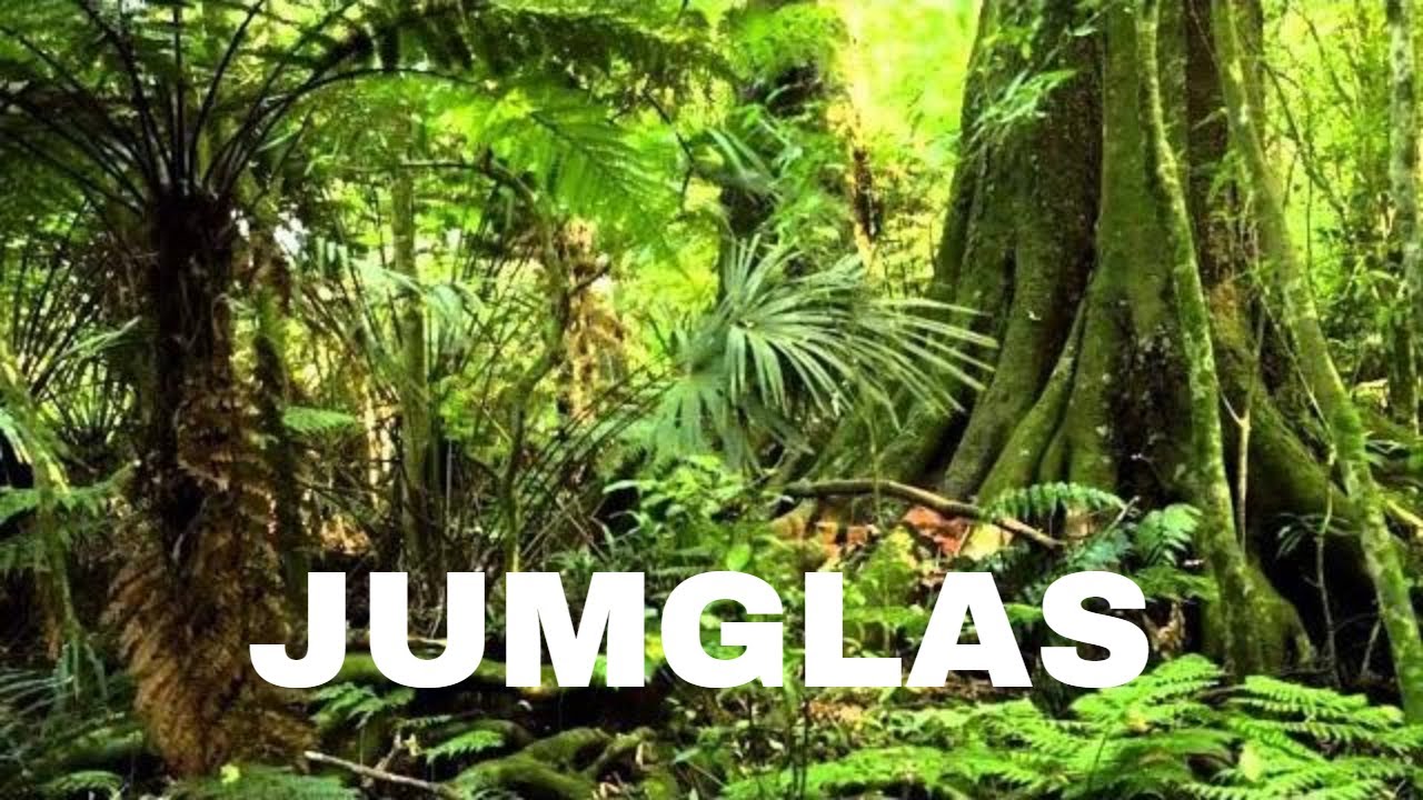 ANIMALES SALVAJES 3 - JUNGLAS - DOCUMENTALES 2019,GRANDES DOCUMENTALES,DOCUMENTALES ESPA&Ntilde;OL,ANIMALES