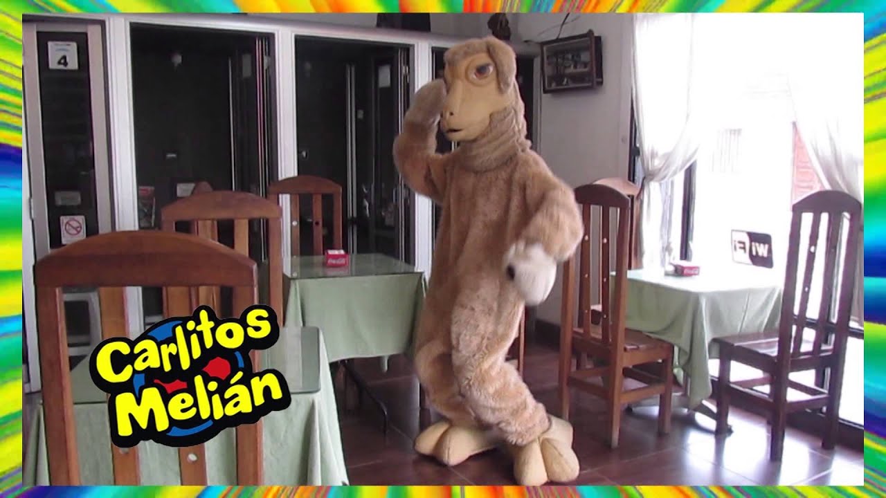 CARLITOS MELIAN   HAPPY 2015