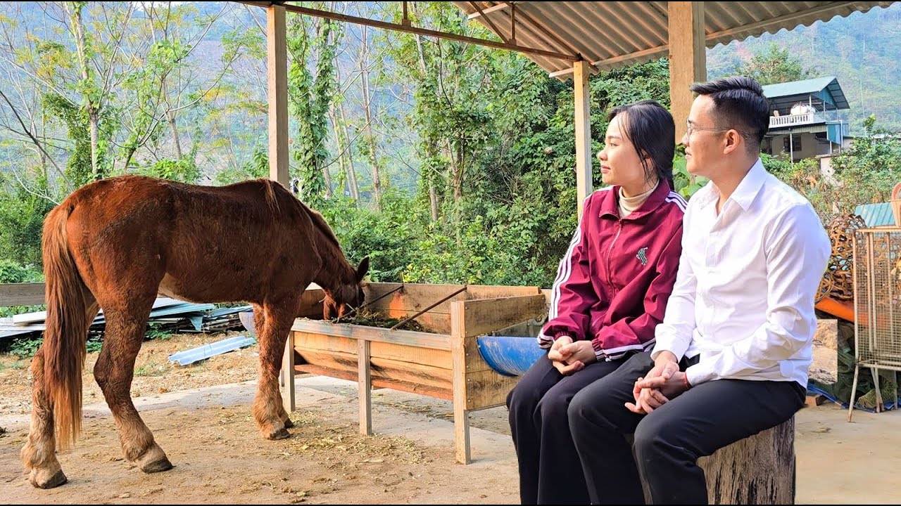 FULL VIDEO: Tieu Thu's 15-Day Journey to Regain Health and Peace