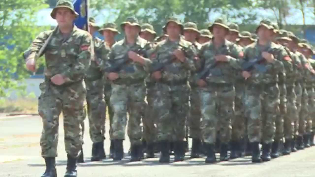Одбележан Денот на единицата (АРМ) во Тетово