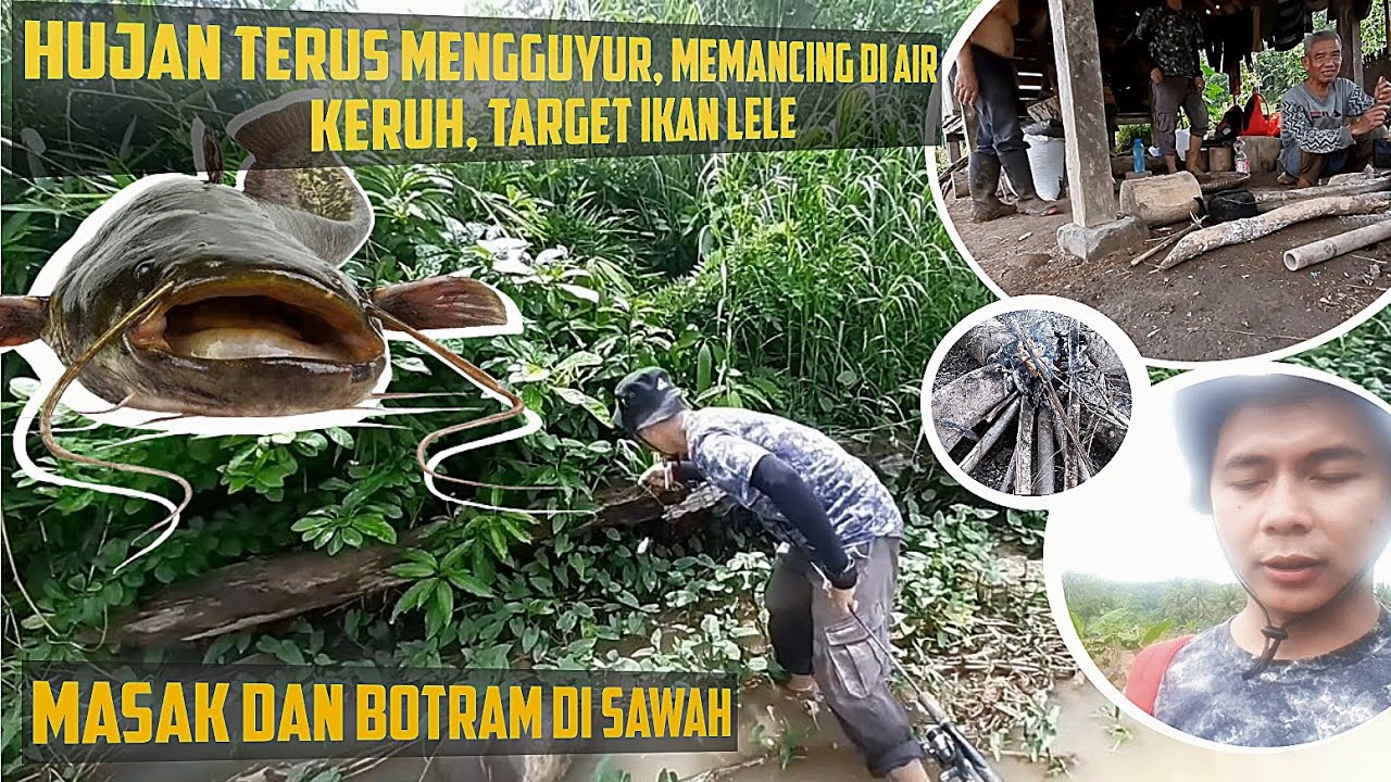 HUJAN TERUS MENGGUYUR, MANCING DI AIR KERUH, TARGET IKAN LELE, SAMBIL MASAK DAN BOTRAM DI SAWAH