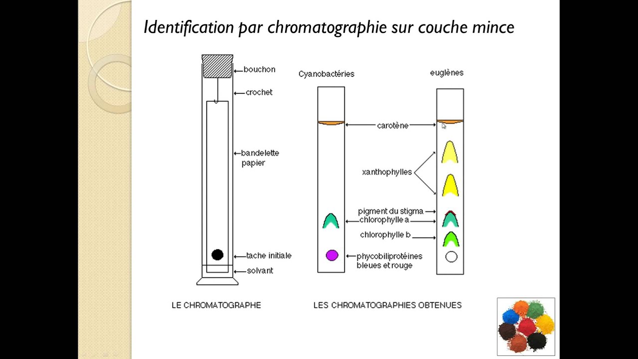 Mol&eacute;cules organiques de la mati&egrave;re color&eacute;e 1/2