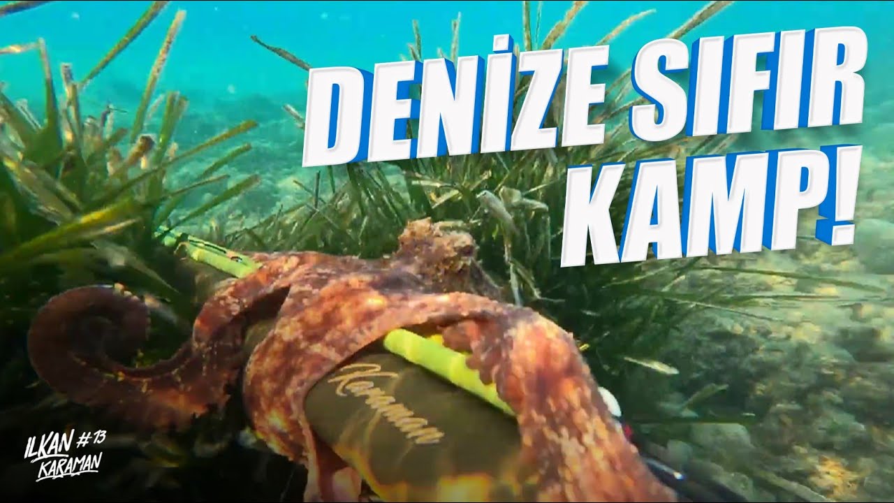 Denize Sıfır Kamp | Ahtapot Zıpkına Sarıldı
