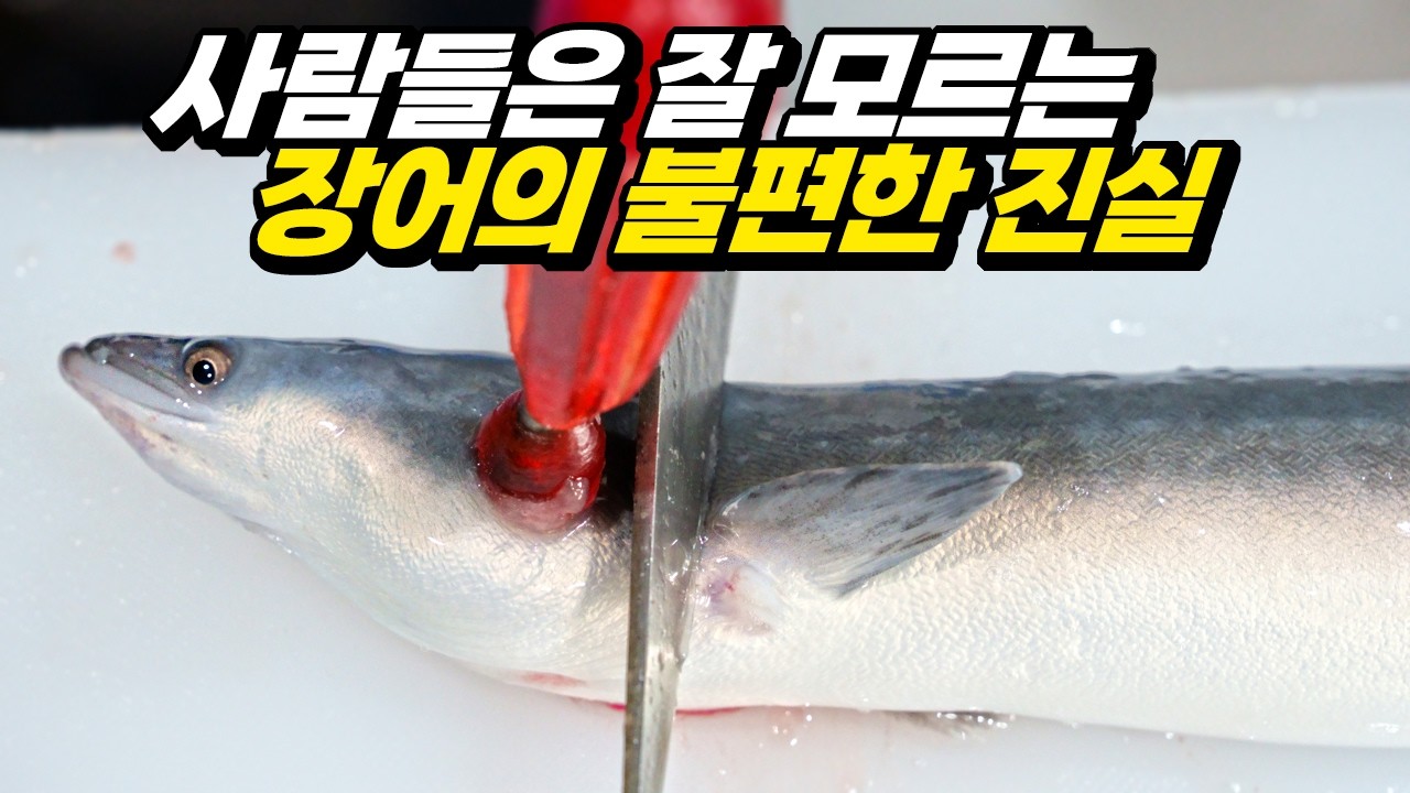 장어 1kg을 샀는데 500g만 나오는 이유(입질의 추억의 어식 탐구 EP.05)