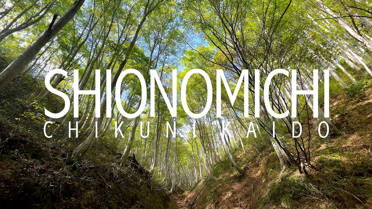 SHIONOMICHI: Walking Japan's Ancient Salt Road [4K]