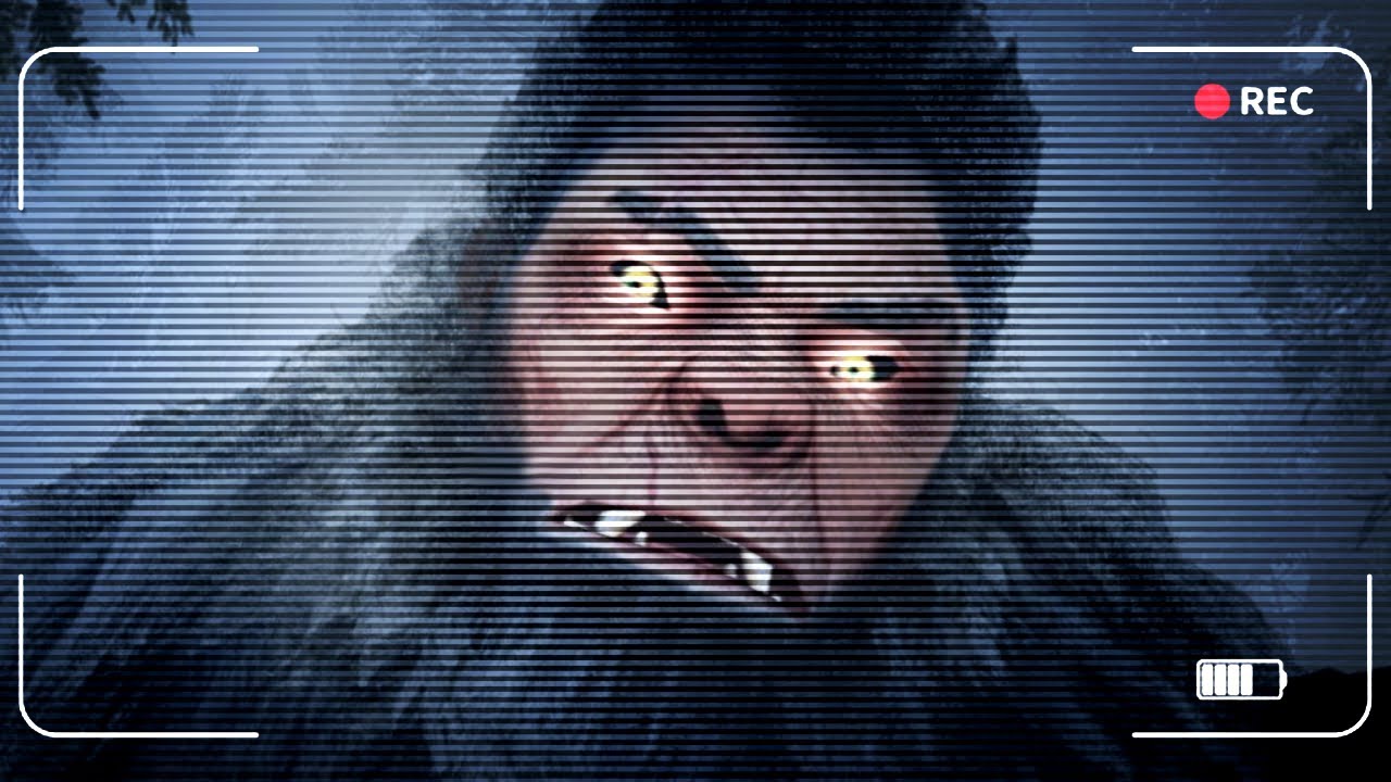 Więcej nocy u BIGFOOTA