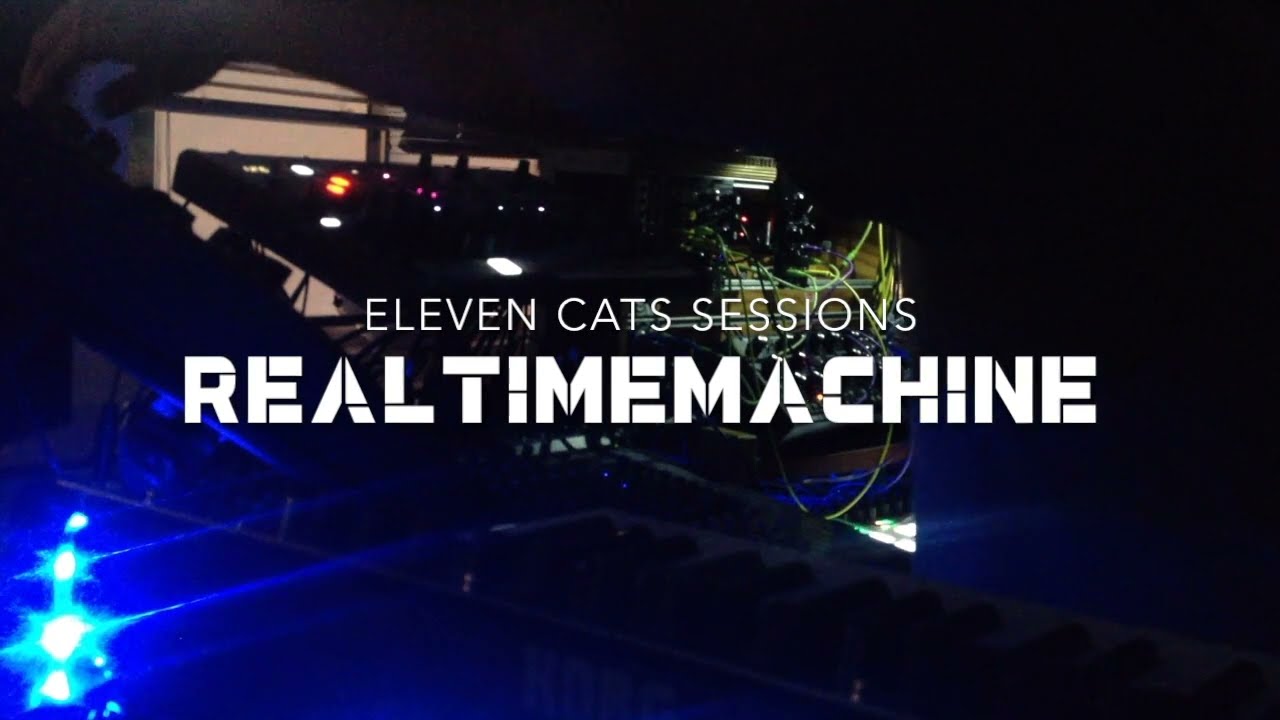 REALTIMEMACHINE eleven cats vol I