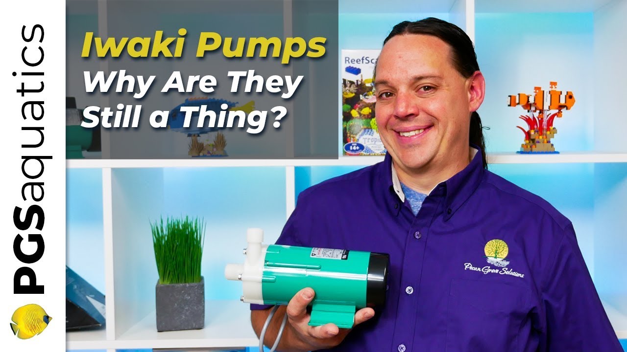 Iwaki Pumps - Why Are They Still a Thing?