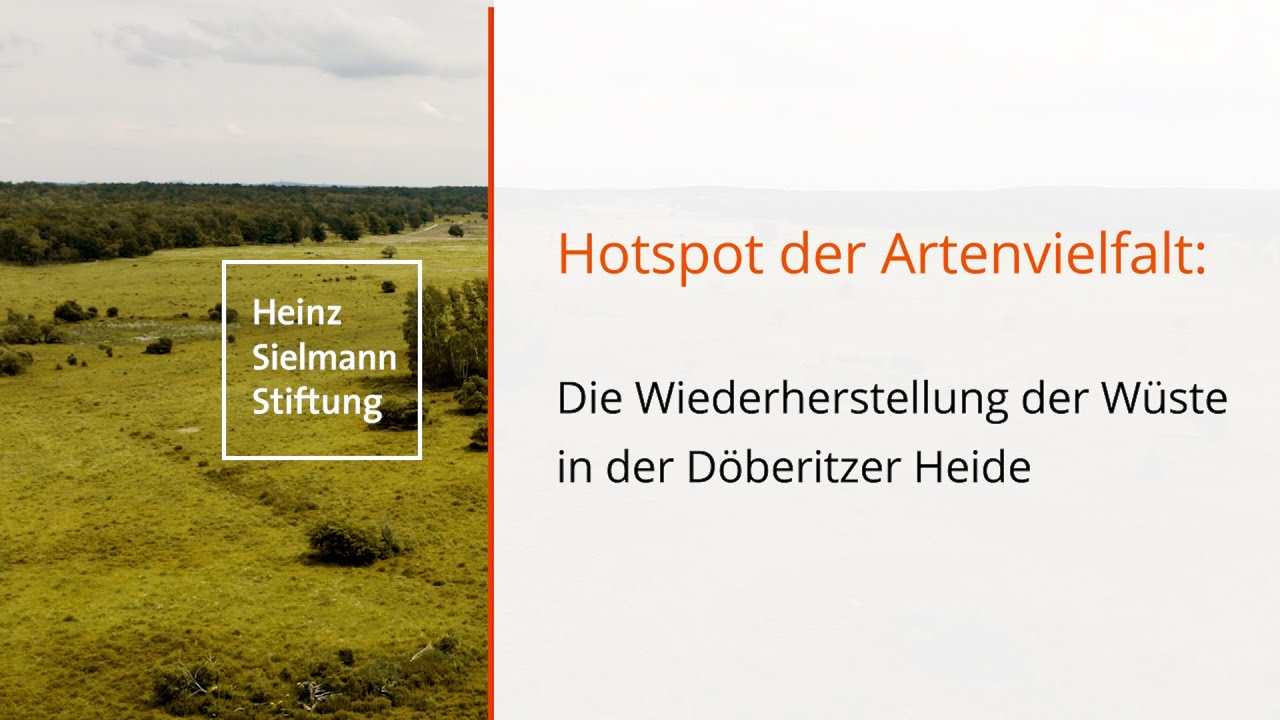 Wiederherstellung der 