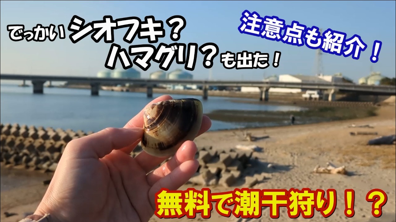 【無料で潮干狩り？】真冬の海でハマグリゲット！【注意点もご紹介】新舞子マリンパーク