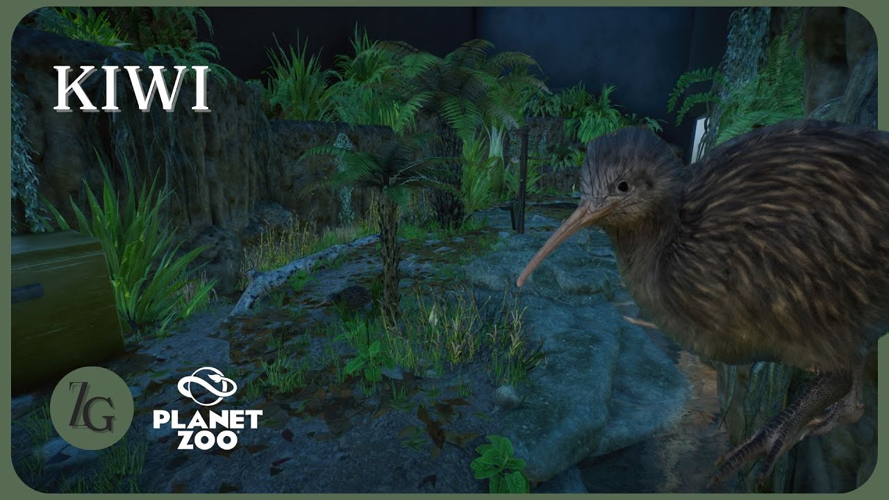Nocturnal Kiwi: A habitat in the dark - A Planet Zoo Speed Build in the Leuchenzee Zoo