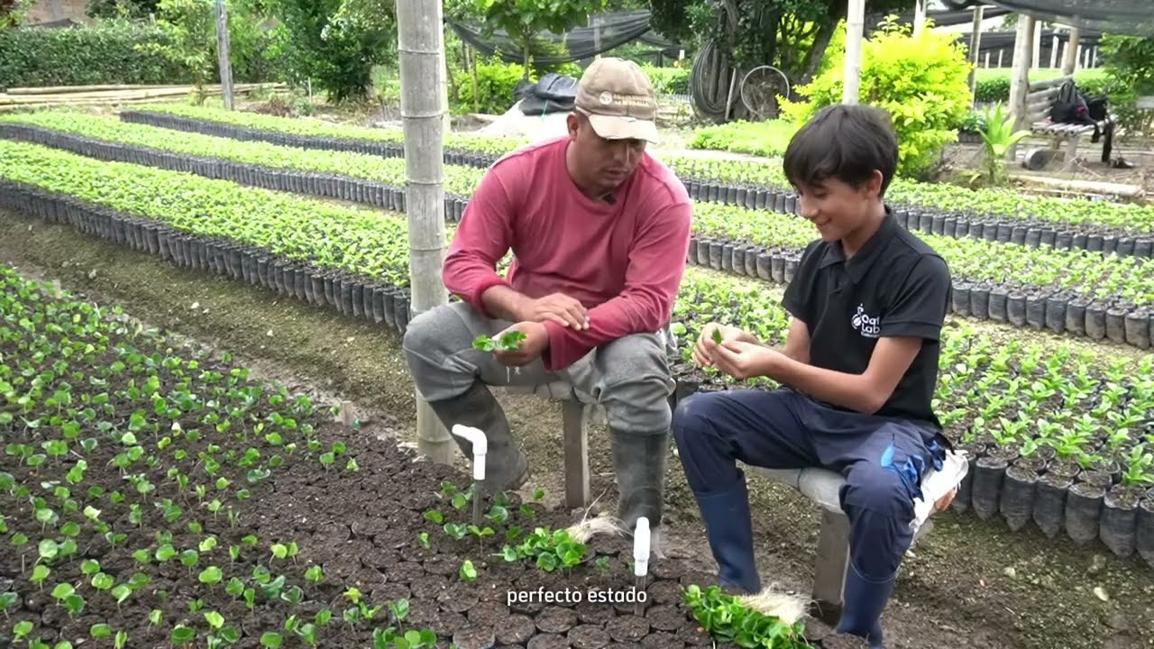 Los secretos del cafetal | La chapola, Cap 2