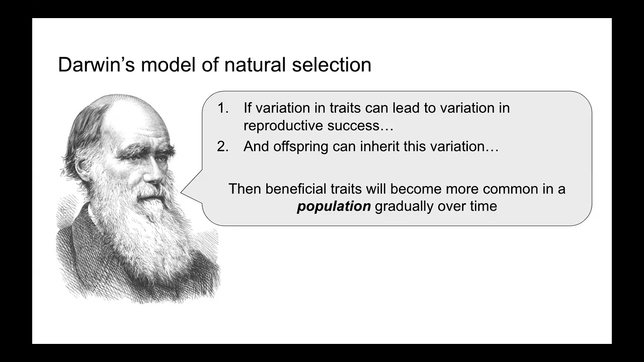 W25 - Population Genetics – Day 1