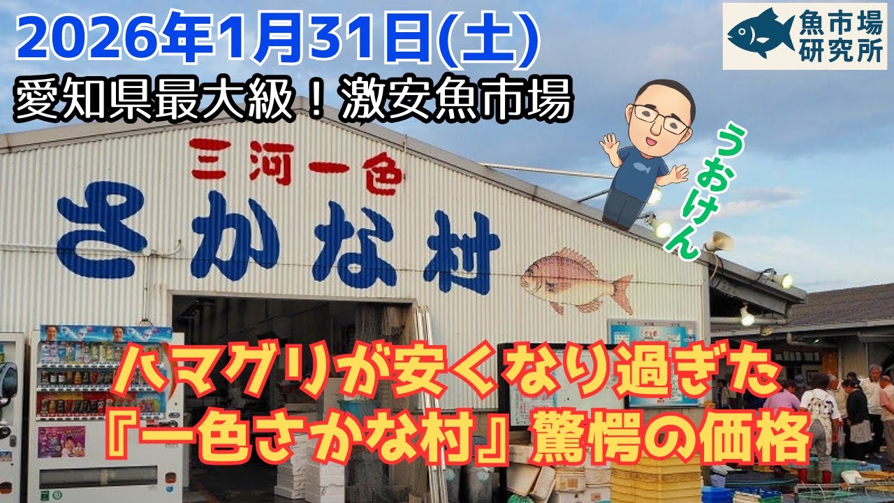 【当たり確定】紅白の貝とハマグリが激安！『一色さかな村』ワスレ・コタマ・タイラ販売開始
