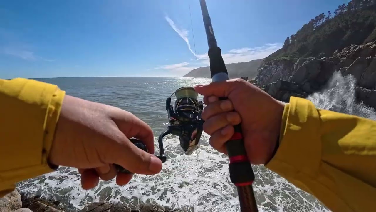 Mi primer video, me toco la suerte de capturar  esta corvina de 15,9 kg 