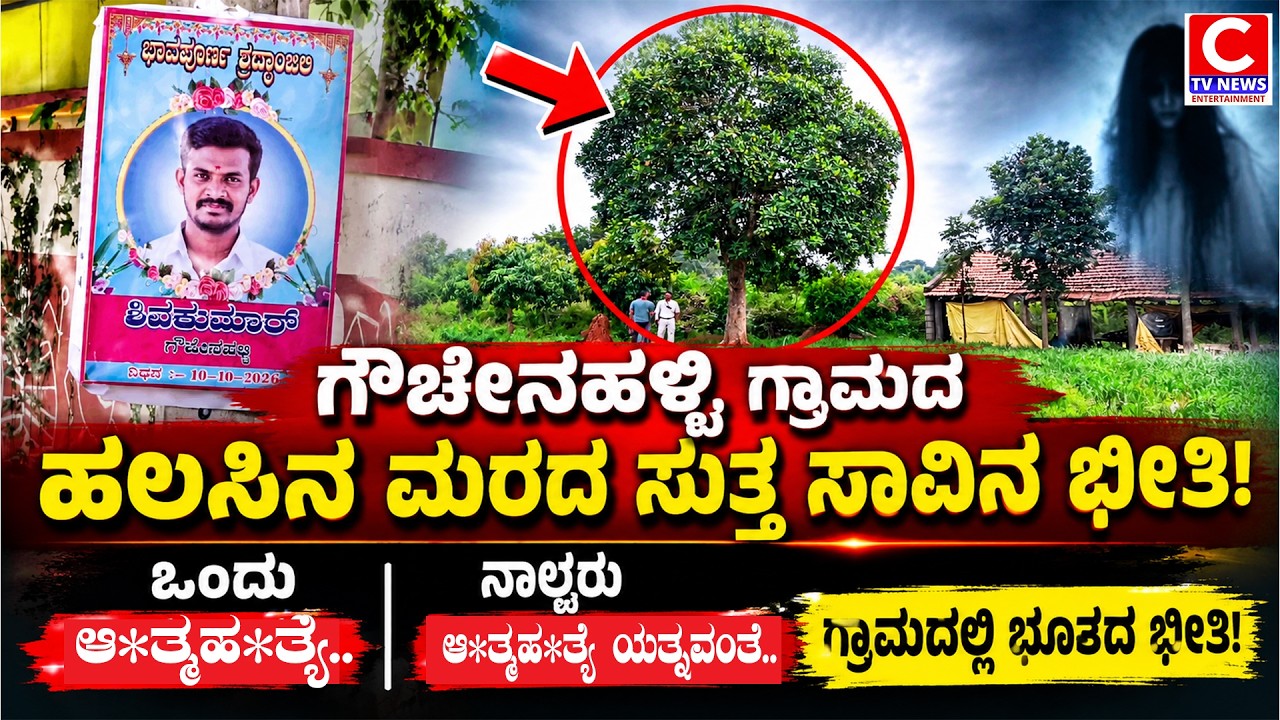 ಚಿಕ್ಕಬಳ್ಳಾಪುರ | ಗೌಚೇನಹಳ್ಳಿ ಗ್ರಾಮದ ಹಲಸಿನ ಮರದ ಸುತ್ತ ಸಾವಿನ ಭೀತಿ!  | C TV NEWS