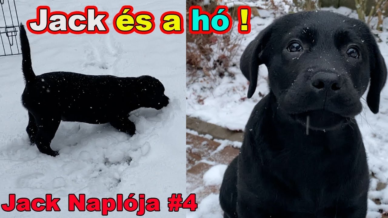 JACK ELŐSZŐR LÁT HAVAT ! ❄️ | Jack Naplója 4. rész