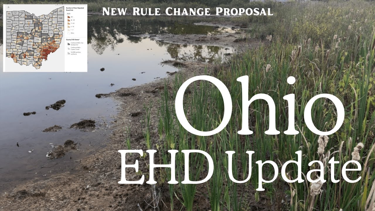 Ohio EHD Update | Special Council Meeting