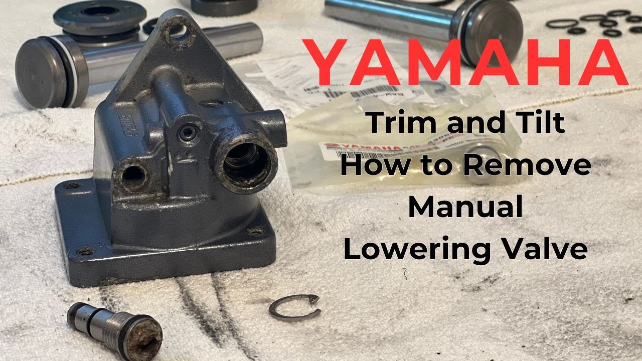Yamaha Trim and Tilt How to Remove Manual Lowering Valve