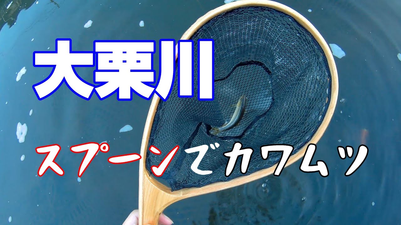 アブガルシアタックルでカワムツを狙います。
