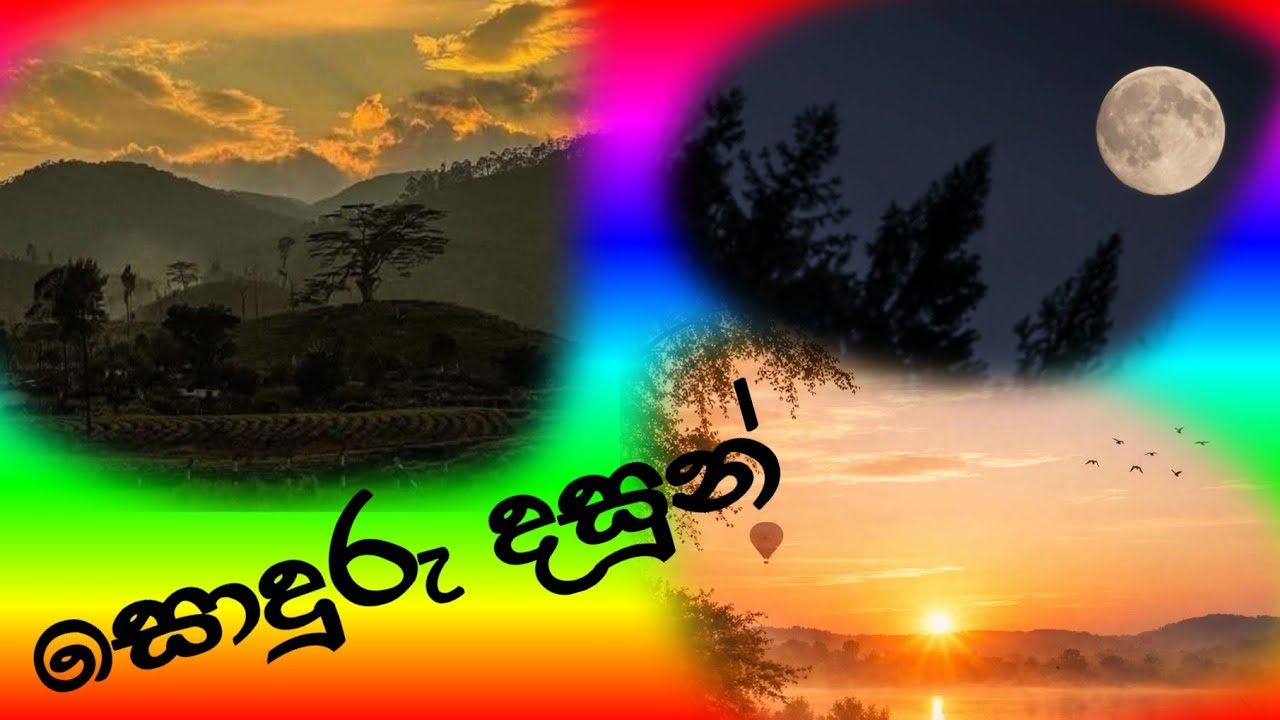 සොඳුරු දසුන් පෙලක්☺️🙏🎋