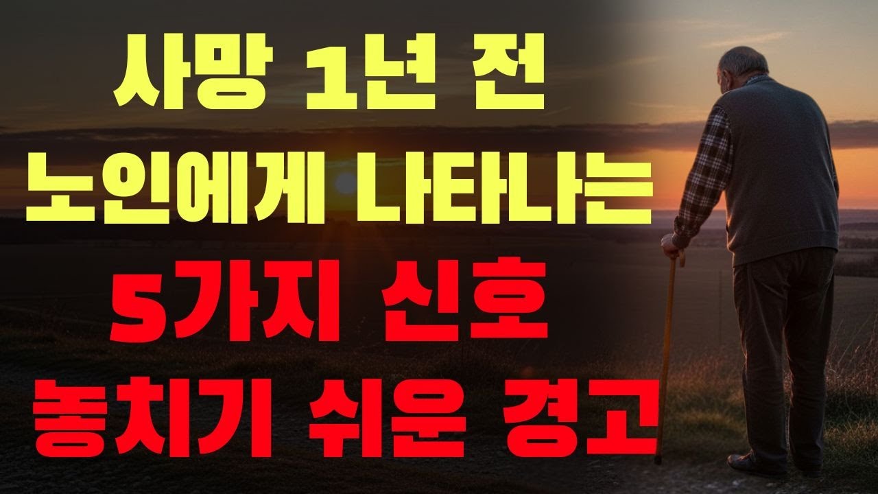 📌 노인이 마지막 해를 보낼 수도 있다는 5가지 신호⚠️ 절대 놓쳐서는 안 될 미묘한 경고👵 주변 어르신에게 이런 변화가 보인다면 주의하세요 | 황금기 케어 코너97