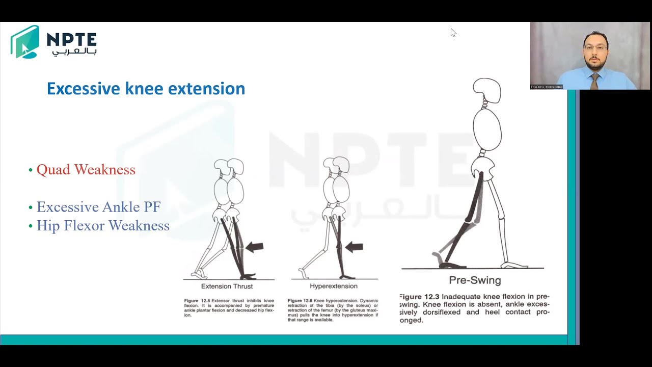 Abnormal Gait Analysis | Full Lecture