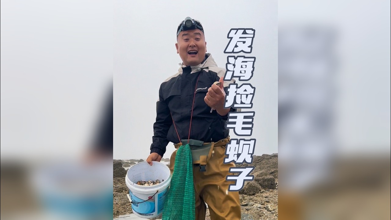 今天带大家看看海边发海了捡毛蚬子，海螺有多过瘾，又收获了多少大货