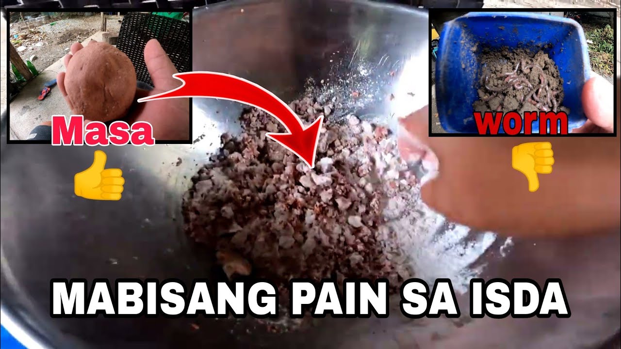 Mabisang pain sa isdang Tilapia | Bangus | Karpa