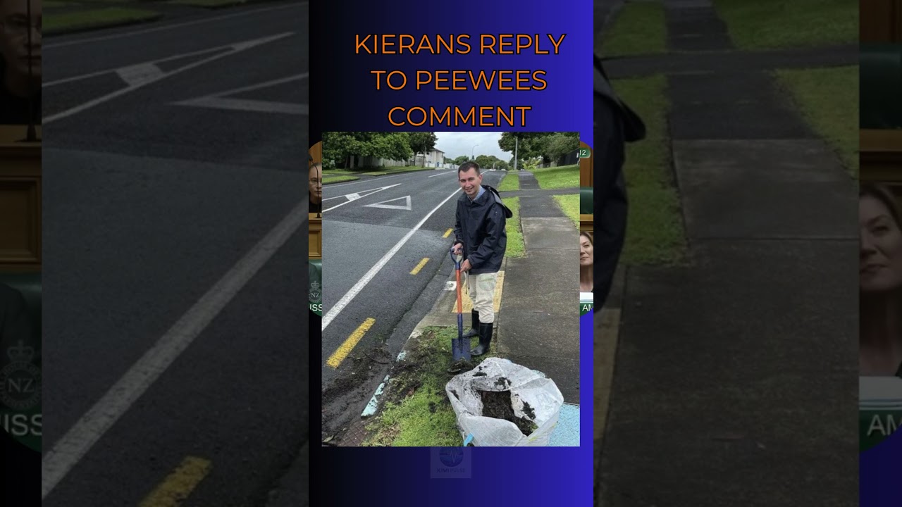 Kieran McAnulty Claps Back at Simeon Brown
