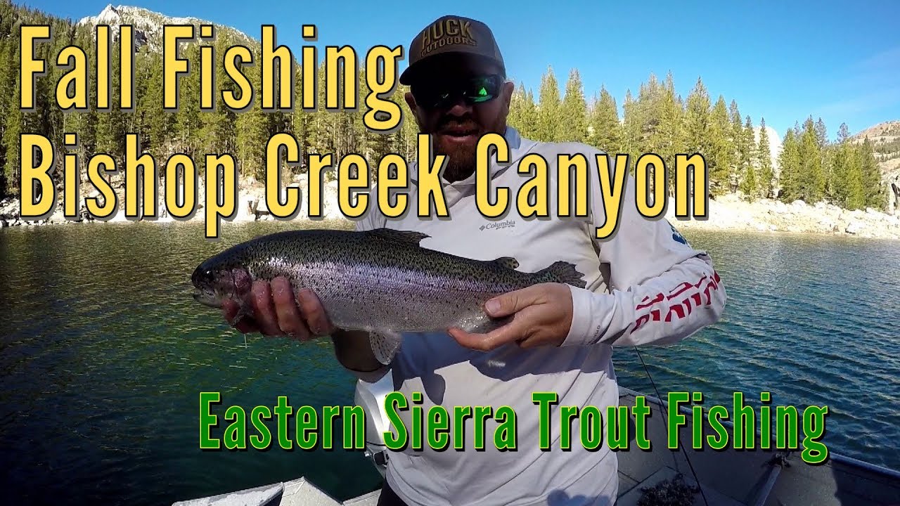 Eastern Sierra Trout Fishing | South Lake | Bishop Creek Canyon | Fall Fishing