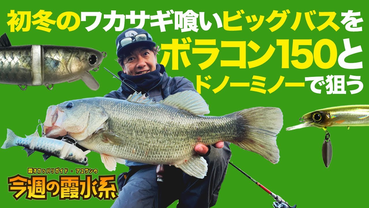 ボラコン150とドノーミノーでワカサギ喰いのデカバスを狙う『霞オカッパリガイド・アユサンの今週の霞水系』