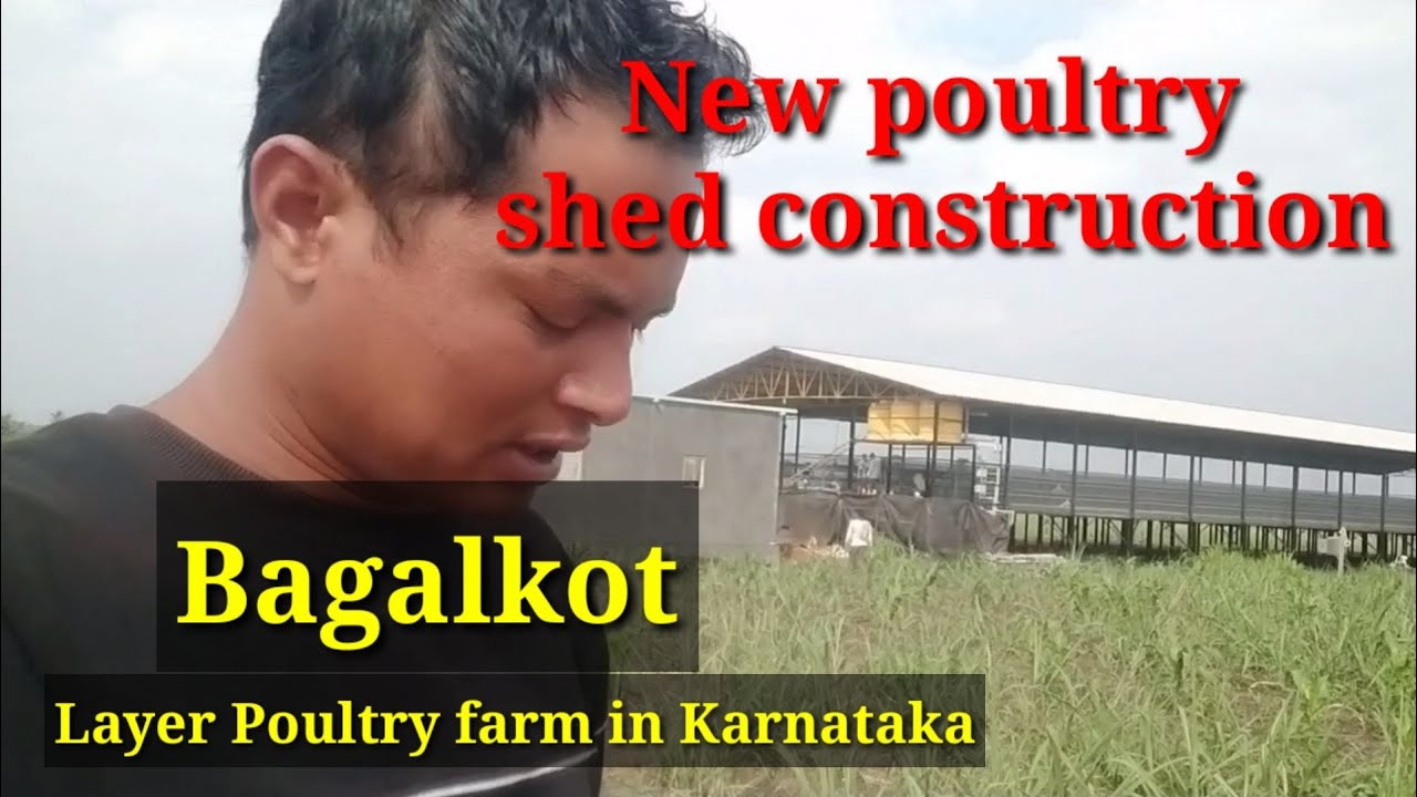 poultry farm shed construction // new poultry shed construction // Layer farm Bagalkot