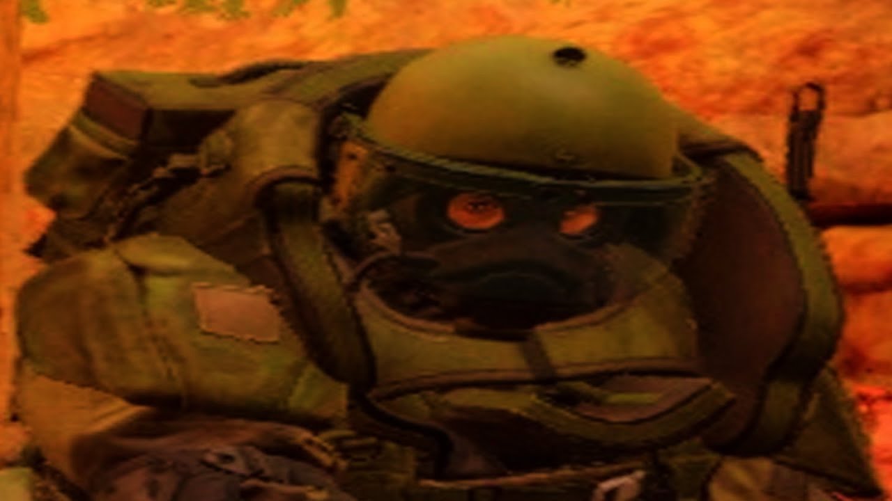 MW3 ZOMBIES BE LIKE...