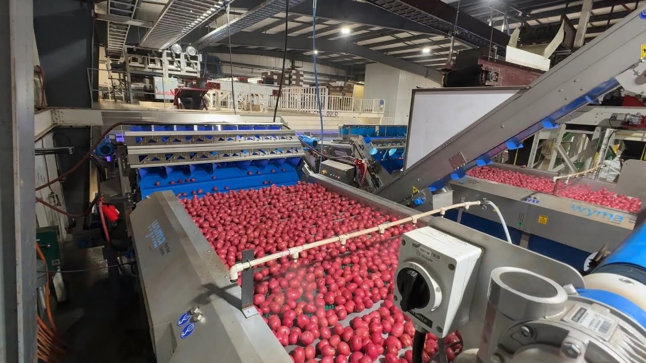 Wyma Case Study | High-Capacity Potato Wash Line | 50-60 Tonnes/Hour | Heartland Fresh Pak