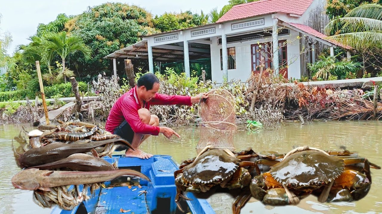 Đổ Lú Dưới Sông Chạy Cua Quá Nhiều 