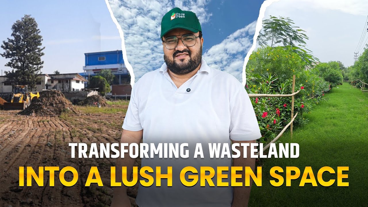 Transforming a wasteland into a lush green space 
