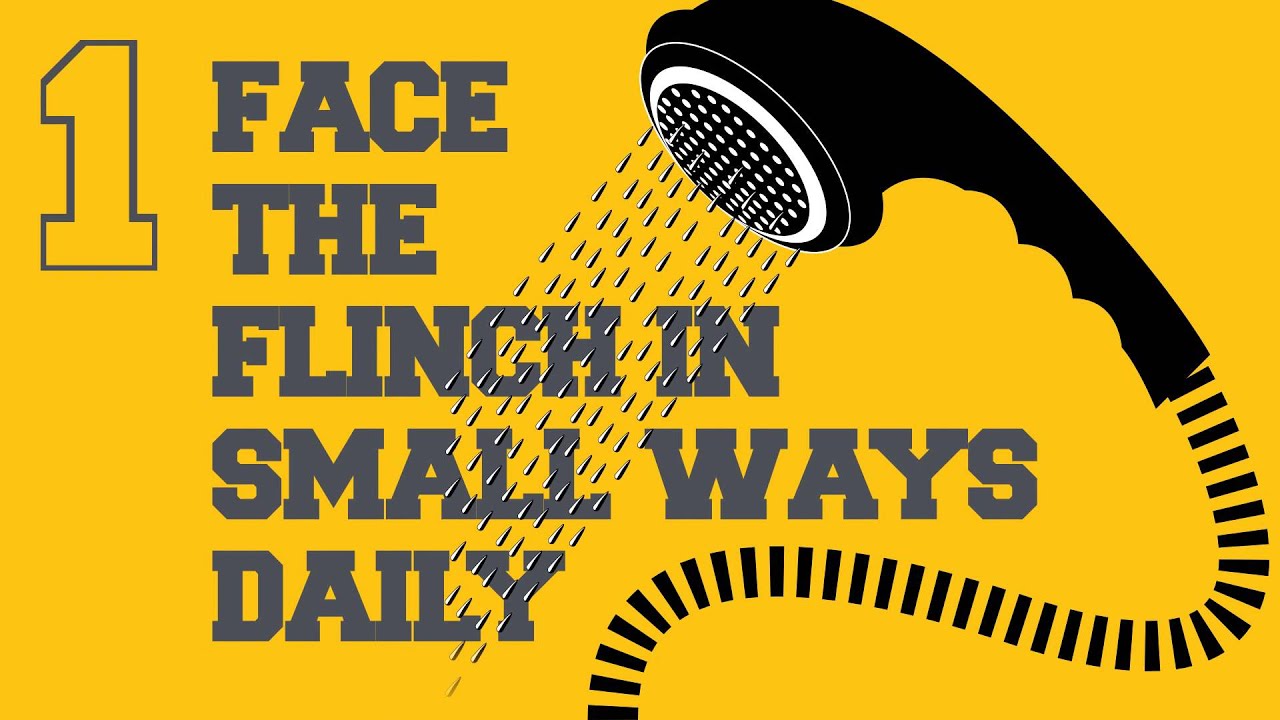 60 Second Book Brief: The Flinch by Julien Smith