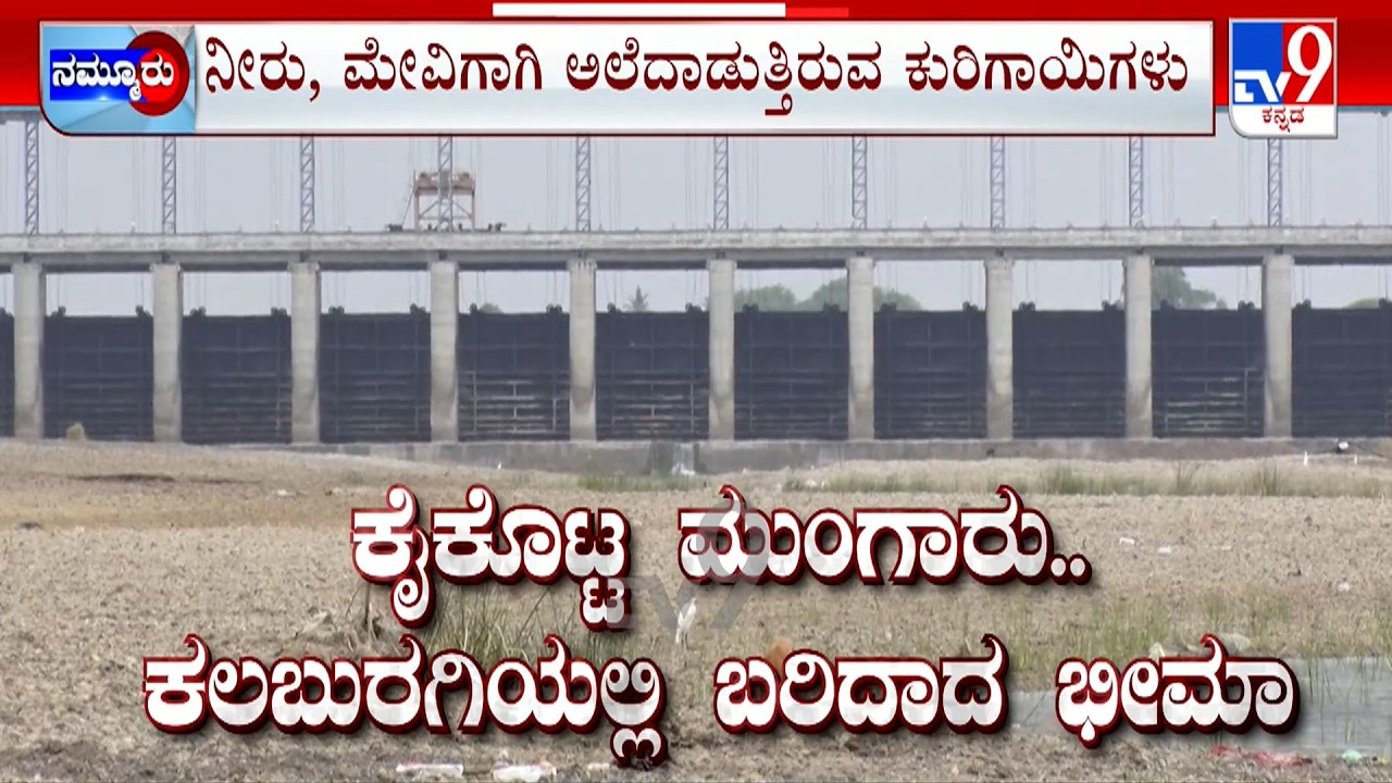 Monsoon Failure Dries Up Rivers And Triggers Drinking Water Crisis In Several Part Of Karnataka