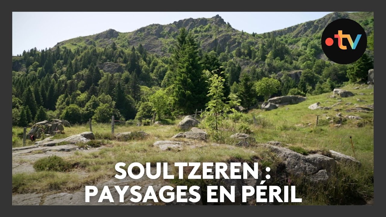 Un lieu, des histoires à Soultzeren : paysages en péril - Episode 4/4