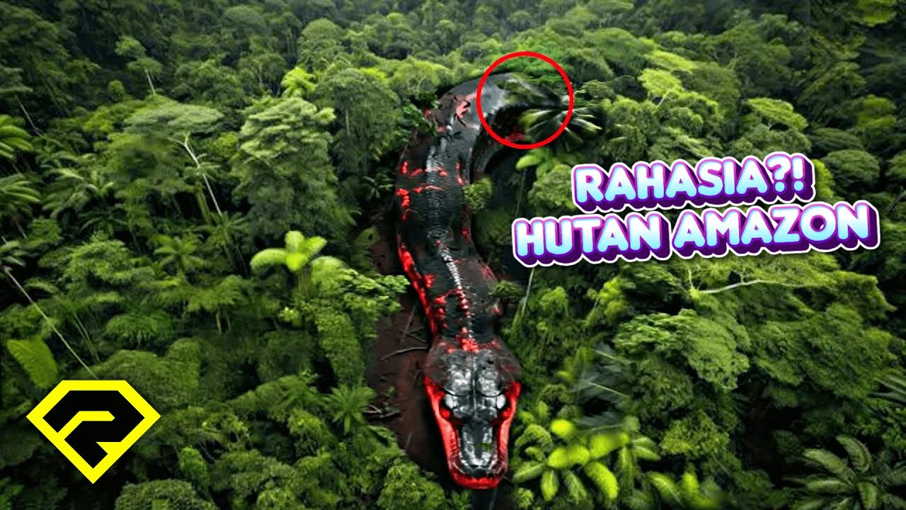 MENGERIKAN!! Ini 25 Temuan Sosok Dan Makhluk Aneh, RAHASIA DIBALIK HUTAN AMAZON?!