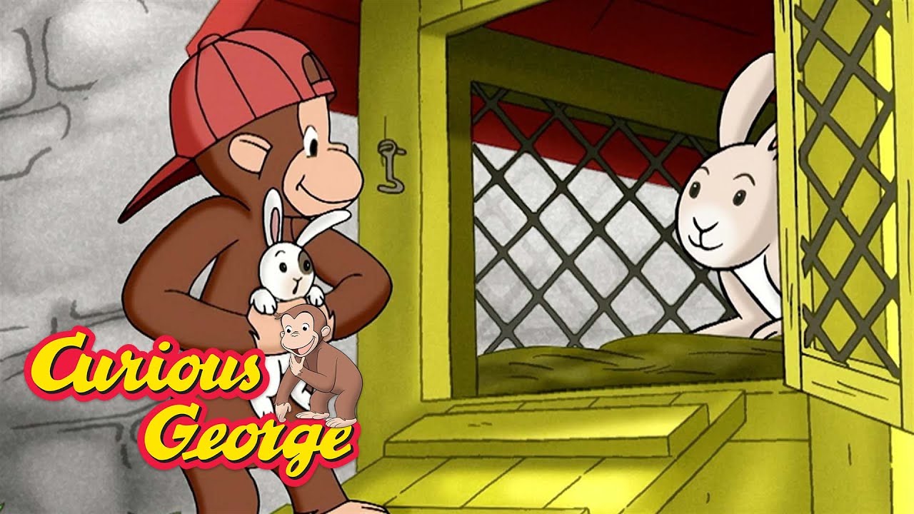Curious George's Bunny Hunt 🐵 Curious George 🐵 Kids Cartoon 🐵 Kids Movies