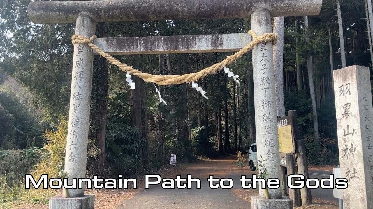 A Quiet Mountain Morning in Japan 🇯🇵: Hiking, Shrine Visit, Cooking, and Rest