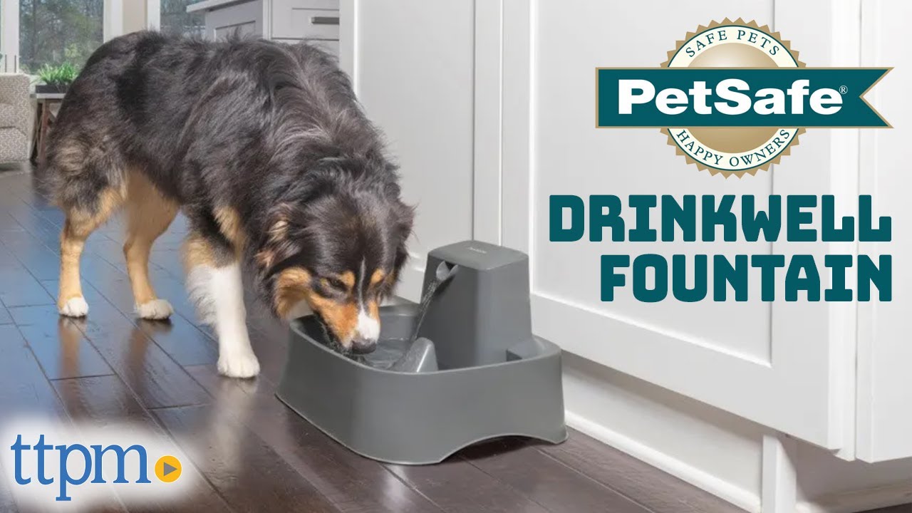 Puppies Review the Drinkwell Pet Fountain from PetSafe!